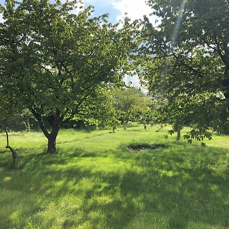Ostello Hof Maerkische Heide Brandenburg  Esterno foto