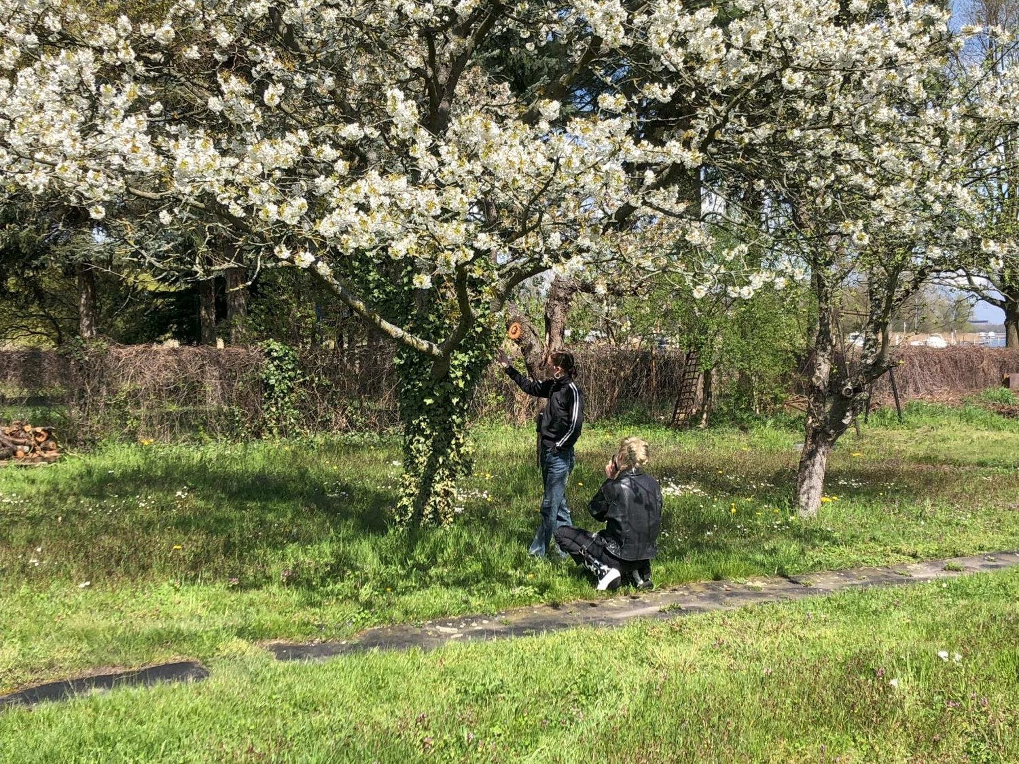 Ostello Hof Maerkische Heide Brandenburg  Esterno foto