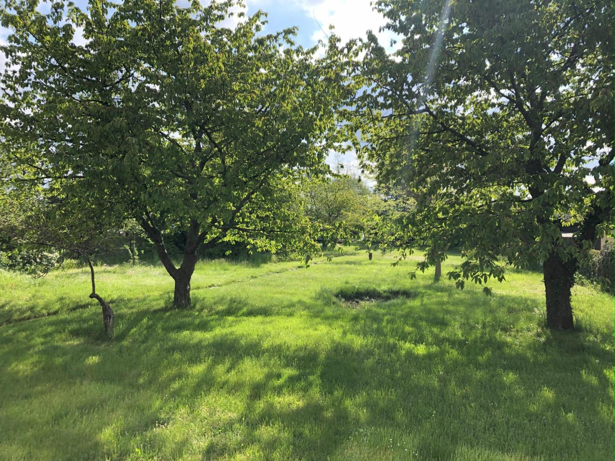 Ostello Hof Maerkische Heide Brandenburg  Esterno foto